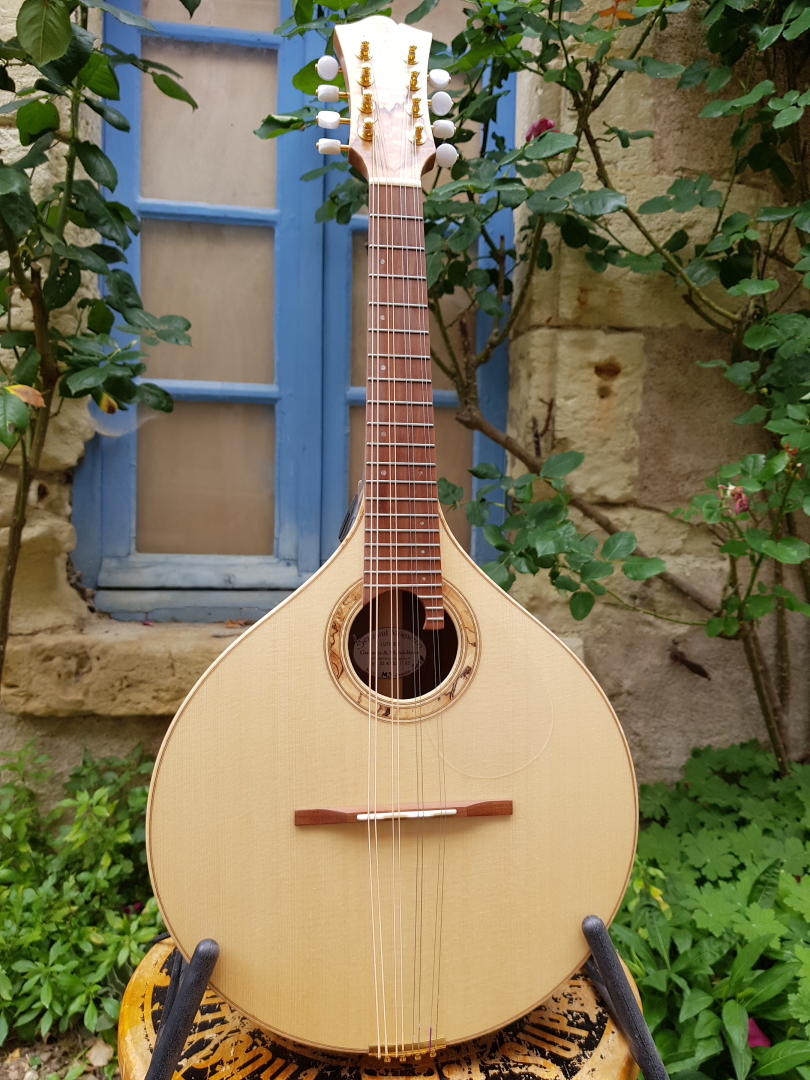 fabrication mandoline luthier